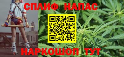 прущие грибы Усть-Джегута