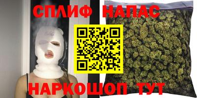 прущие грибы Усть-Джегута