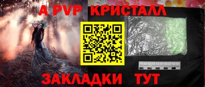 прущие грибы Усть-Джегута