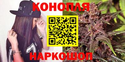прущие грибы Усть-Джегута