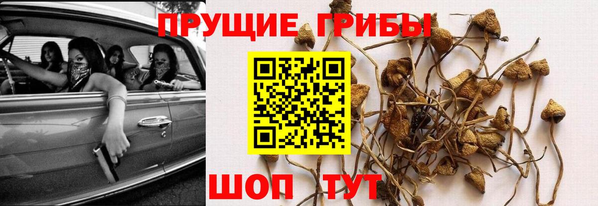 Галлюциногенные грибы мухоморы Тула