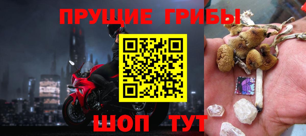 Тула  Псилоцибиновые грибы Psilocybe  купить наркотики сайты  Галлюциногенные грибы ЛСД  Вход с VPN 